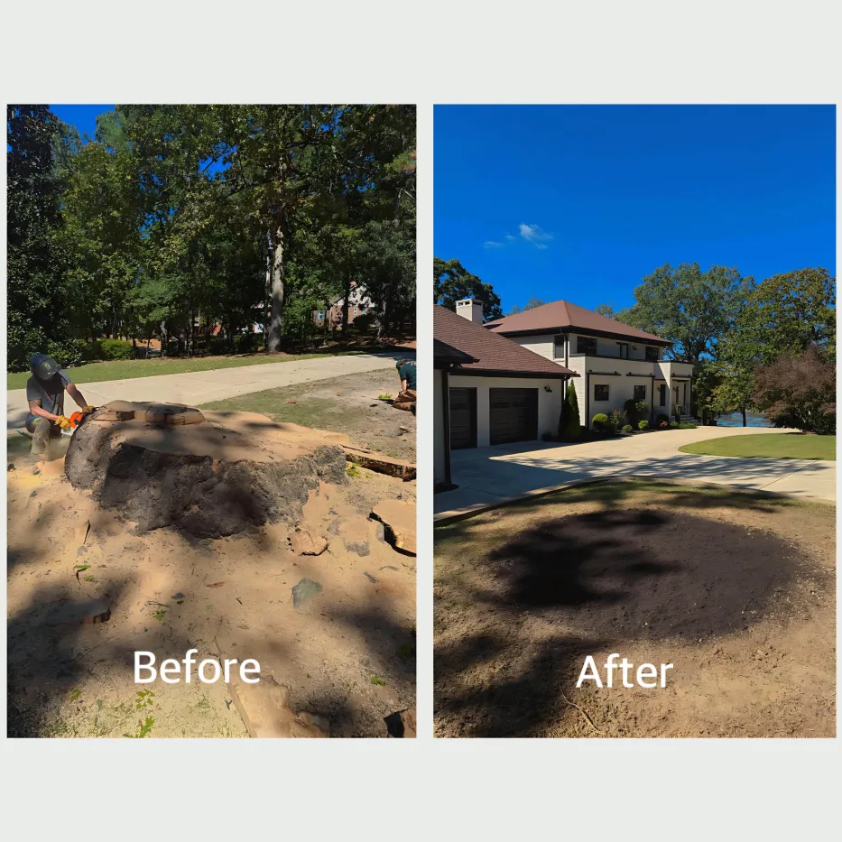 Before and after stump removal - complete residential driveway restoration